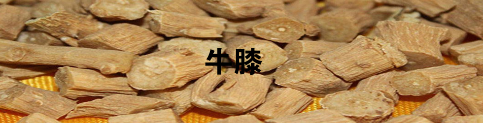 ţϥ